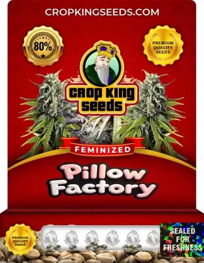 Pillow Factory