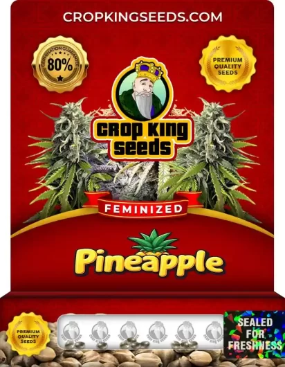 pineapple-image