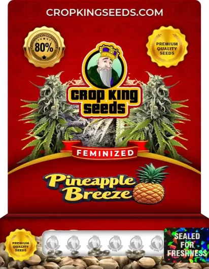 pineapple-breeze-image