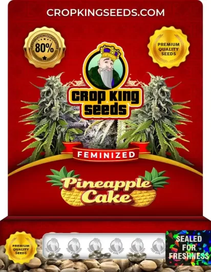 pineapple-cake-image