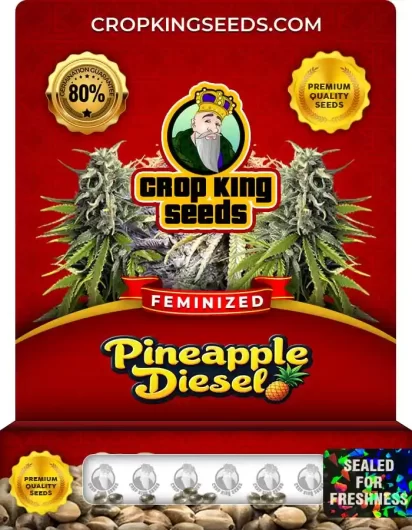 pineapple-diesel-image