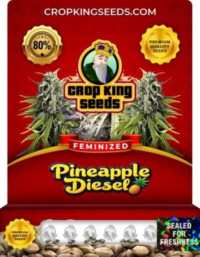 Pineapple Diesel