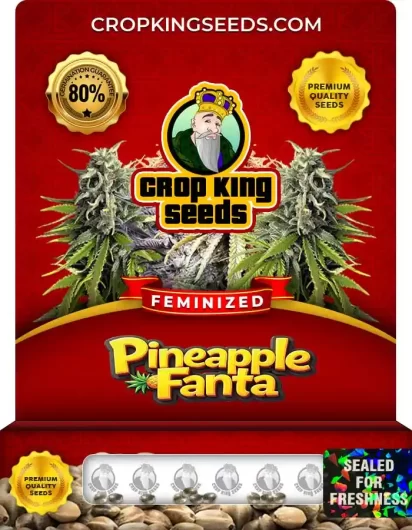 pineapple-fanta-image