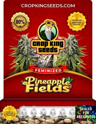 Pineapple Fields