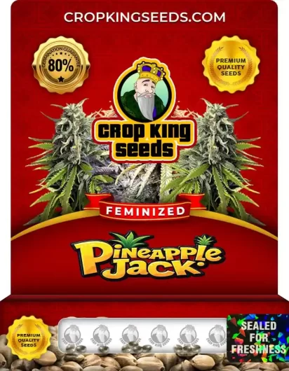 pineapple-jack-image