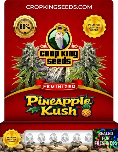 pineapple-kush-image