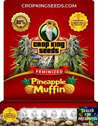 Pineapple Muffin
