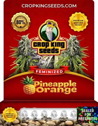 Pineapple Orange