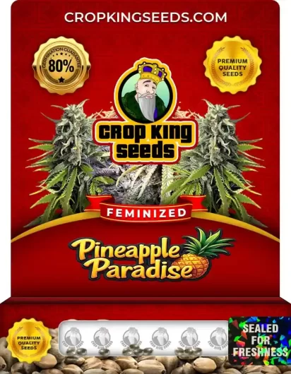 pineapple-paradise-image