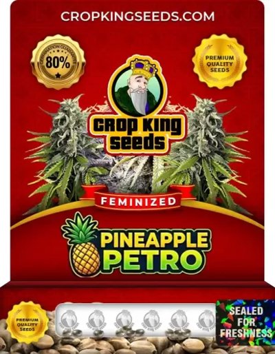 Pineapple Petro