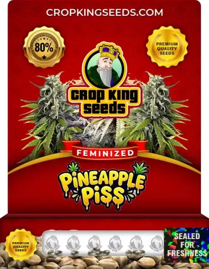 pineapple-piss-image
