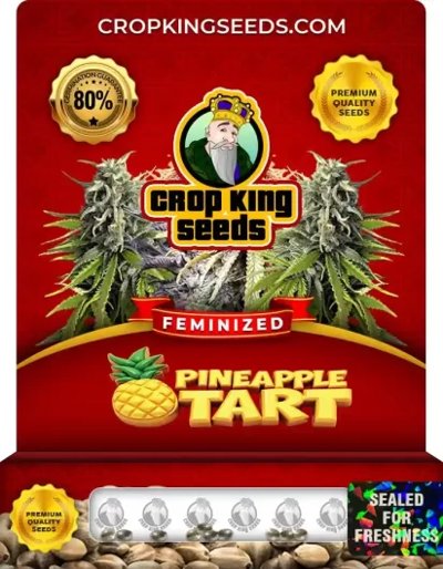 Pineapple Tart