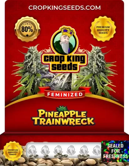 pineapple-trainwreck-image
