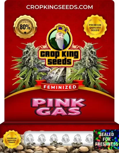 pink-gas-image