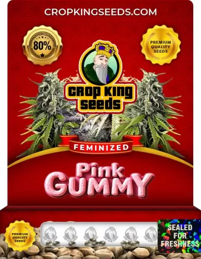 pink-gummy-image