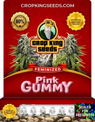 Pink Gummy