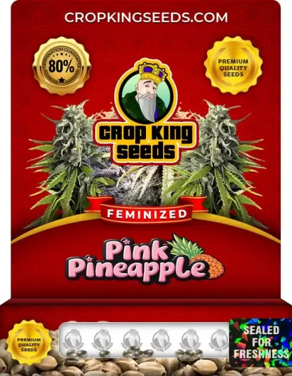 pink-pineapple-image