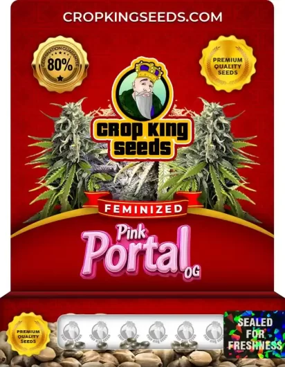 pink-portal-og-image