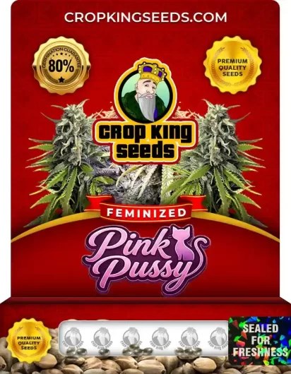 pink-pussy-image