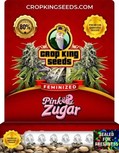 Pink Zugar