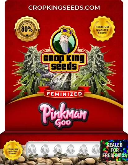 pinkman-goo-image