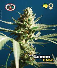 Sch'Lemon Cake