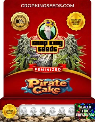 Pirate Cake