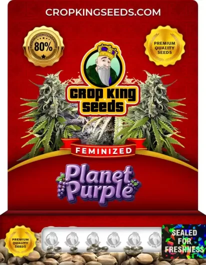 planet-purple-image