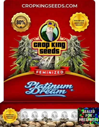 platinum-blue-dream-image