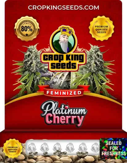 platinum-cherry-image