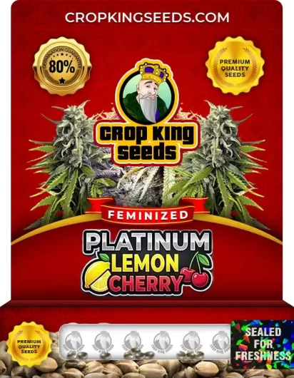 platinum-lemon-cherry-image