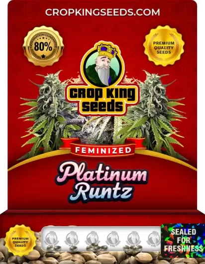 platinum-runtz-image