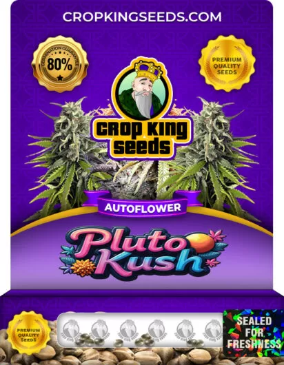 pluto-kush-autoflower-image