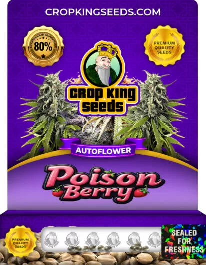 poison-berry-autoflower-image