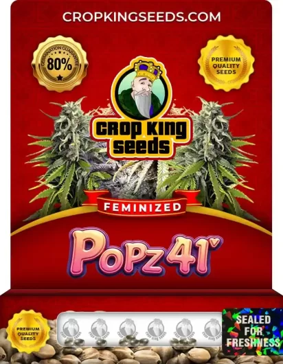 popz-41-image