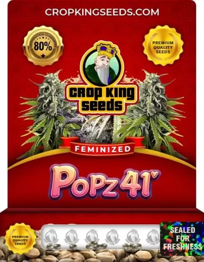Popz 41