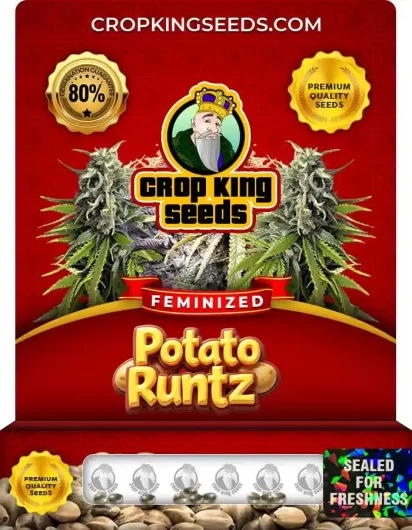 potato-runtz-image