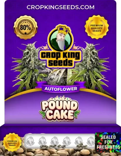 pound-cake-autoflower-image