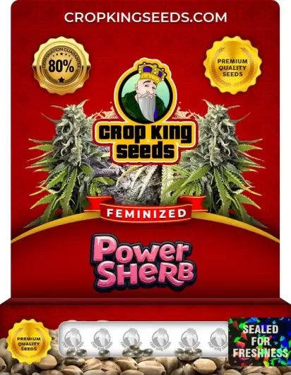 power-sherb-image