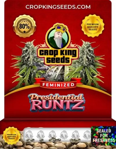 Presidential Runtz