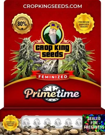 Primetime