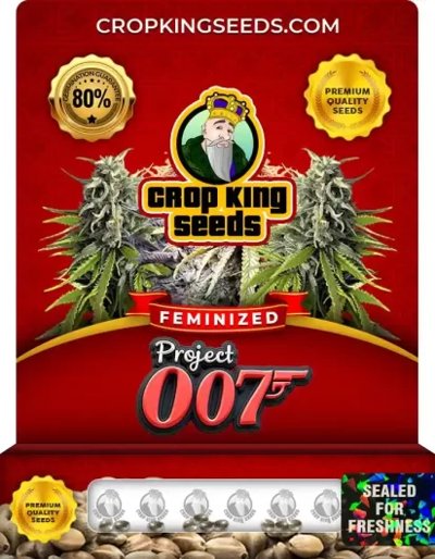 Project 007