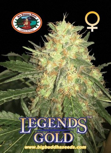 legends-gold-image