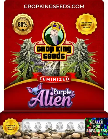purple-alien-image
