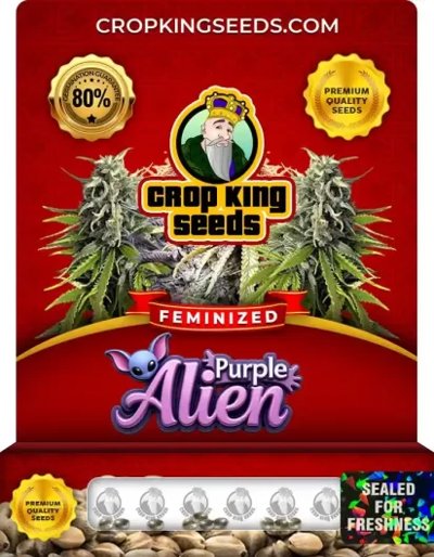 Purple Alien