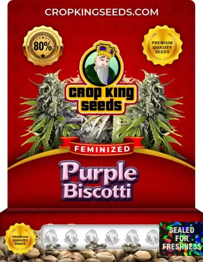 purple-biscotti-image