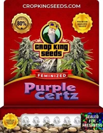 Purple Certz