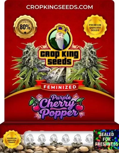 Purple Cherry Popper
