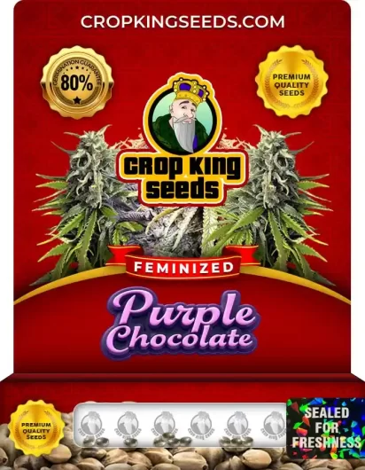 purple-chocolate-image