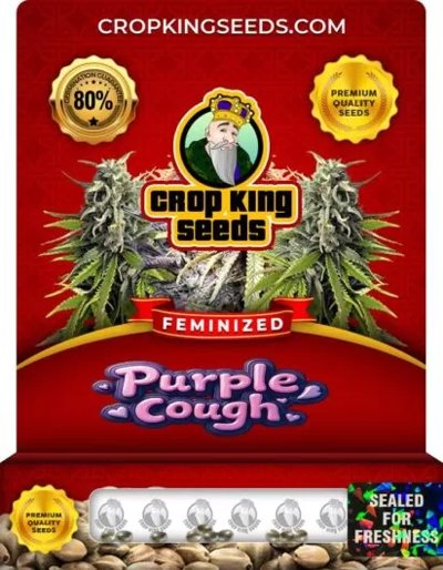 Purple Cough